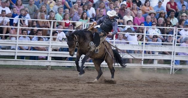 Mountain Top Rodeo | Discover Dahlonega